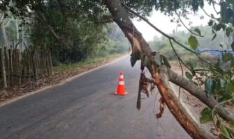 முல்லைத்தீவு – புதுக்குடியிருப்பில் விபத்து ; ஒருவர் பலி