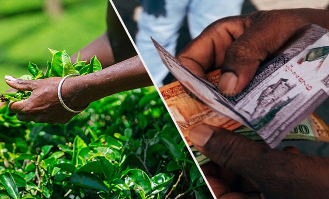 ஓராண்டின் பின் மீண்டும் கூடுகிறது சம்பள நிர்ணயசபை; தொழில் ஆணையாளரால் தொழிற்சங்கங்களுக்கு அழைப்பு