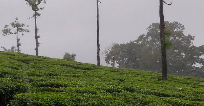 அரச உத்தியோகத்தர்கள் மீதுள்ள அக்கறை பெருந்தோட்ட தொழிலாளர்கள் மீதில்லையா ? – பெருந்தோட்ட தொழிற்சங்கங்கள் கடும் அதிருப்தி