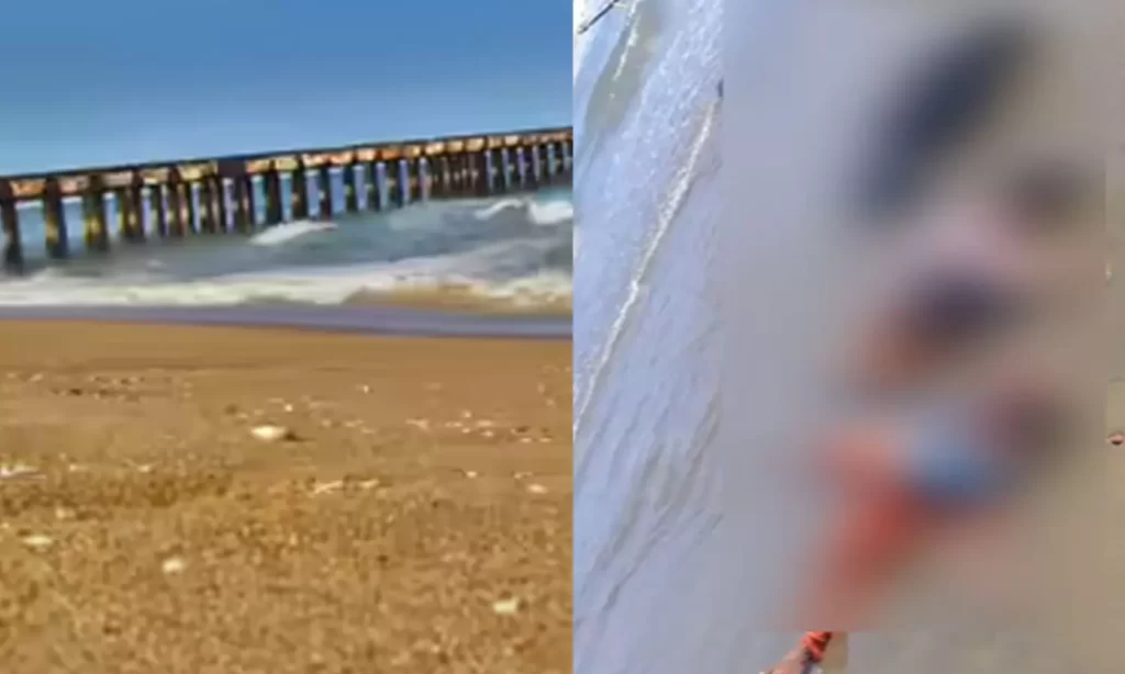 சென்னை கடற்கரையில் பரபரப்பு.. இலங்கை அகதிகள் முகாமை சேர்ந் ஒரு கல்லூரி மாணவி உள்ளிட்ட 4 பெண்களின் சடலங்கள் கரை ஒதுங்கியது.