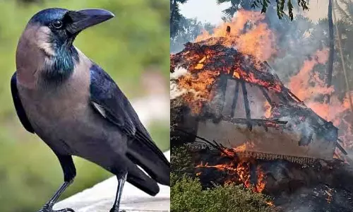 “ஆந்திராவில் 4 குடிசை வீடுகளை எரித்த காகம்: ரூ.1 லட்சம், தங்க நகைகள் சேதம்”