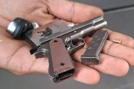 உள்ளங்கையில் மறையும் துப்பாக்கி: தொழிலதிபர் கைது