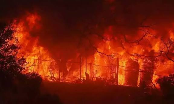 கொட்டகலை பகுதியில் தீவைத்தல் பரபரப்பு – அரிய உயிரினங்கள், மருந்து மூலிகைகள் அழிவு அச்சம்!